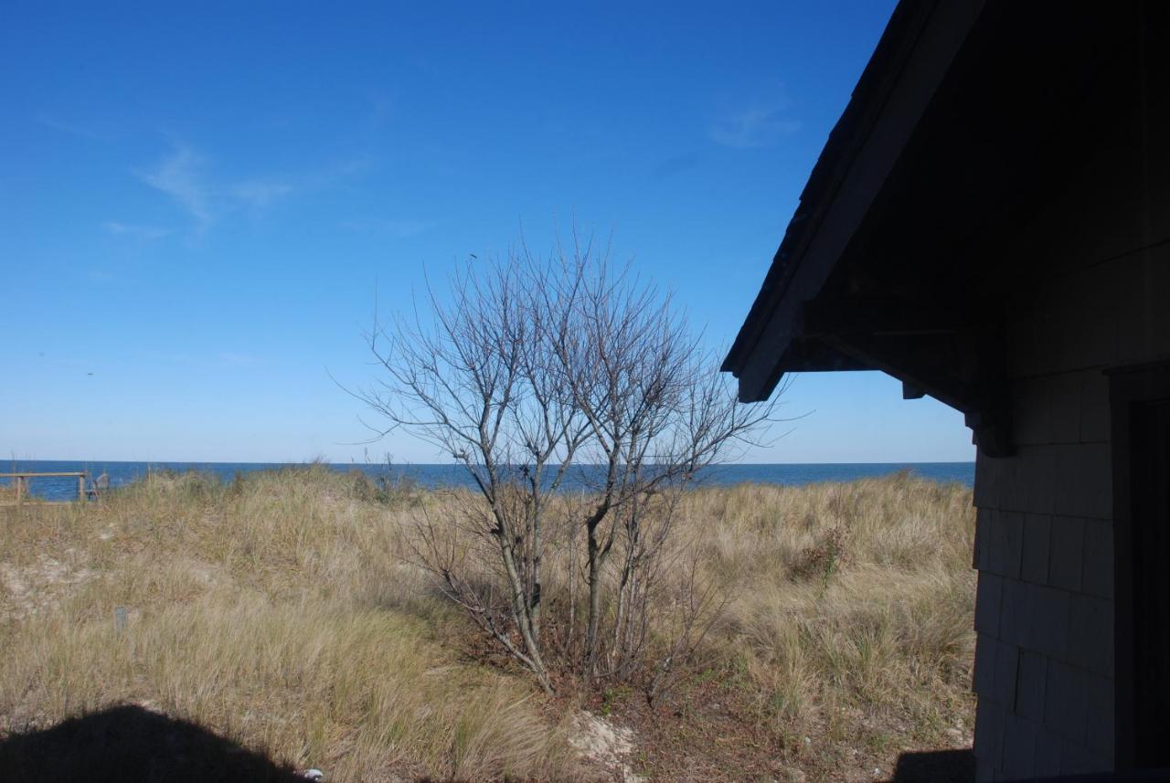 Rustic Rooftop Delight - Bay Front Apts Norfolk Bagian luar foto